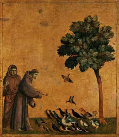 stfrancis