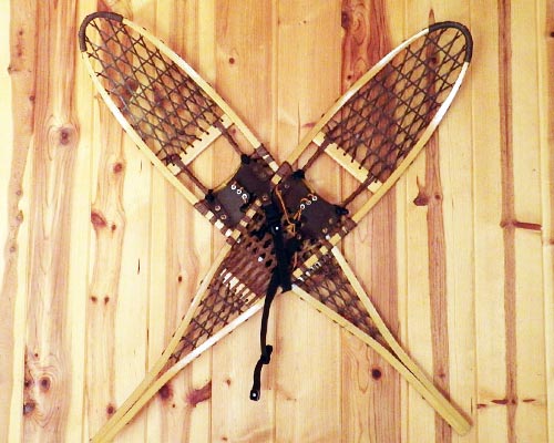 Toad snowshoes