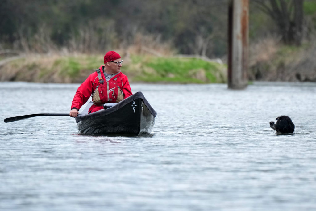 Dog swimming next to a canoe.